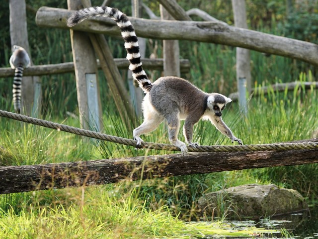 Madagascar E-Visa